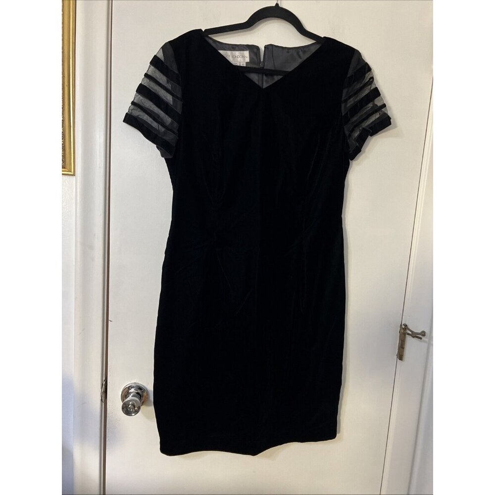Maggy London Velvet Short Sheer Sleeve Dress‎ Size 12 Preppy Fairygrundge Gothic